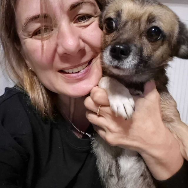 Hündinnen in Rumänien ab 12 Monate, Sofie